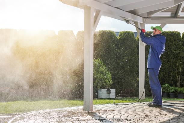 Best Dumpster Area Cleaning  in Navy, VA